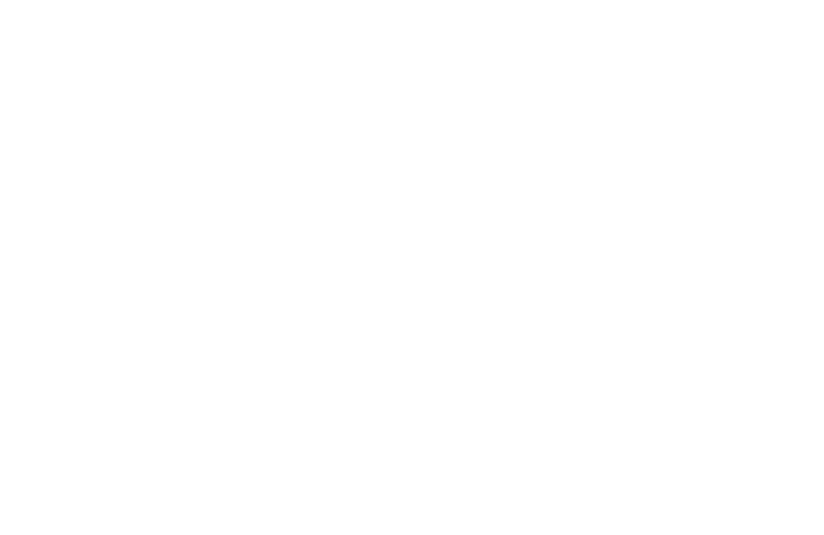 RELENTLESS B2C LOGO WHITE